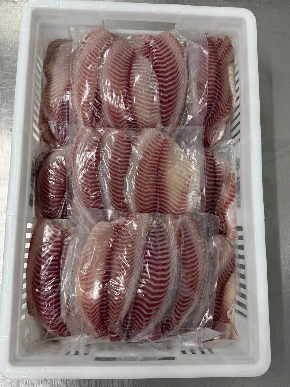 Caixas de filé de tilápia prontas para expedição
